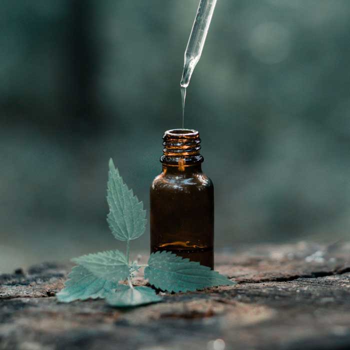 Propiedades y Usos de los Aceites Esenciales: Una Guía Completa para la Aromaterapia