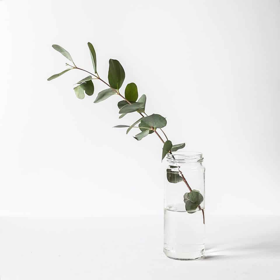 ¿Puedes ayudar a proteger el Agua del Planeta? Sí, pásate a la Cosmética Natural sin Agua