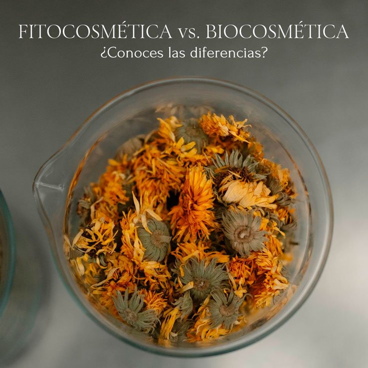 Fitocosmética vs. Biocosmética ¿conoces las diferencias?