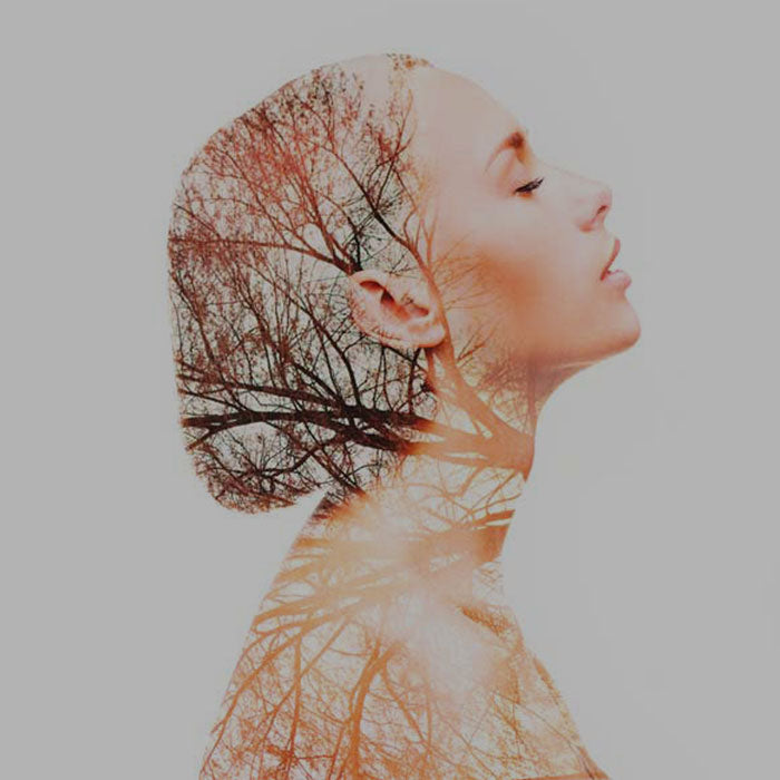 Descubre qué tipo de cosmética protege tu piel del exposoma