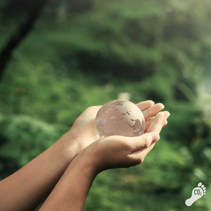 Reduciendo la huella de carbono: ¿Cómo nuestra producción local marca la diferencia?