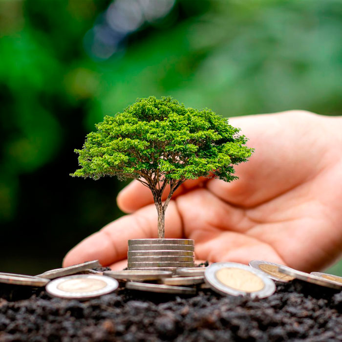 La Belleza Sostenible: Såper y su compromiso con los ODS de las Naciones Unidas