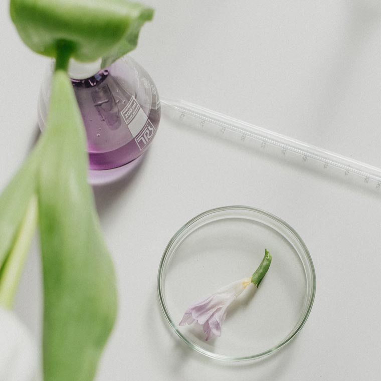 ¿Qué es el ácido hialurónico vegano?