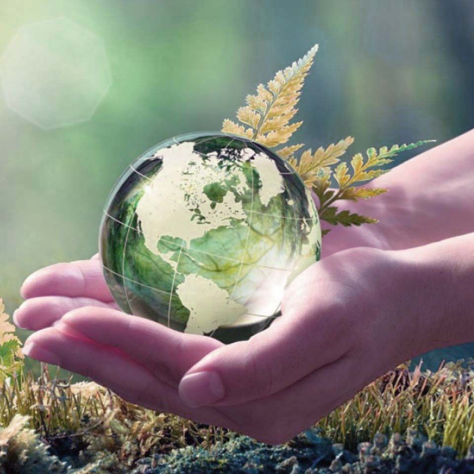 5 de Junio: La Cosmética Natural apoya el Día Mundial del MEDIO AMBIENTE