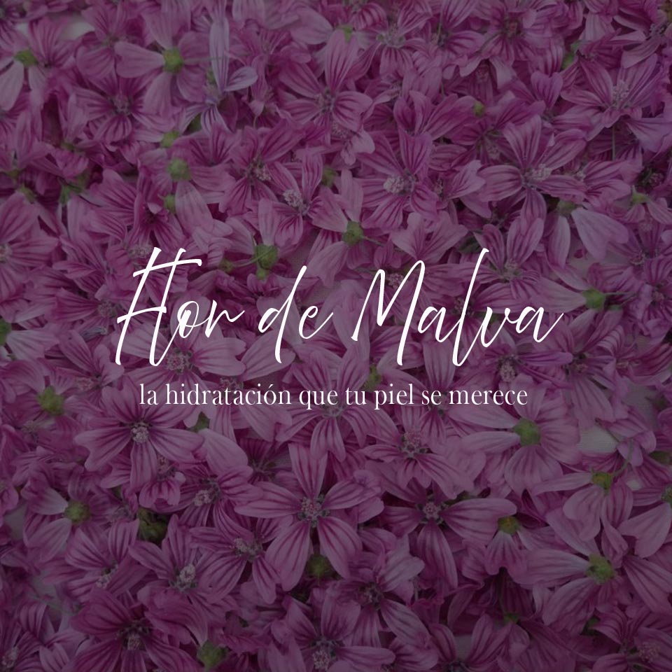 Extracto de flor de malva beneficios para la piel