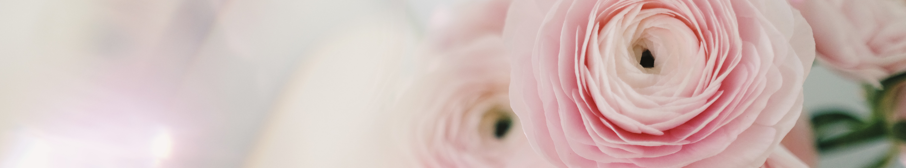 Productos de temporada